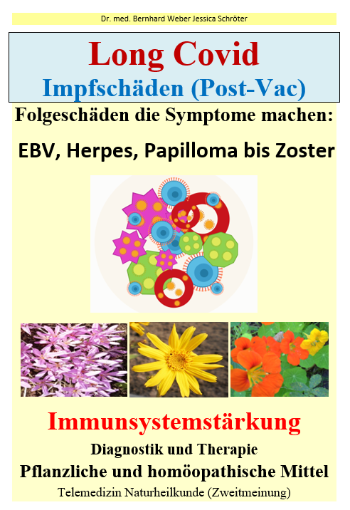Long Covid, Impfschäden (Post Vac), Immunsystem stärken