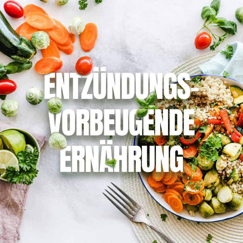 Mein Onlinekurs "Entzündungsvorbeugende Ernährung"
